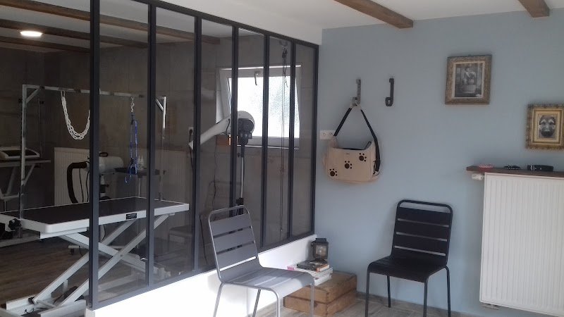 L'atelier du chien - photo 1