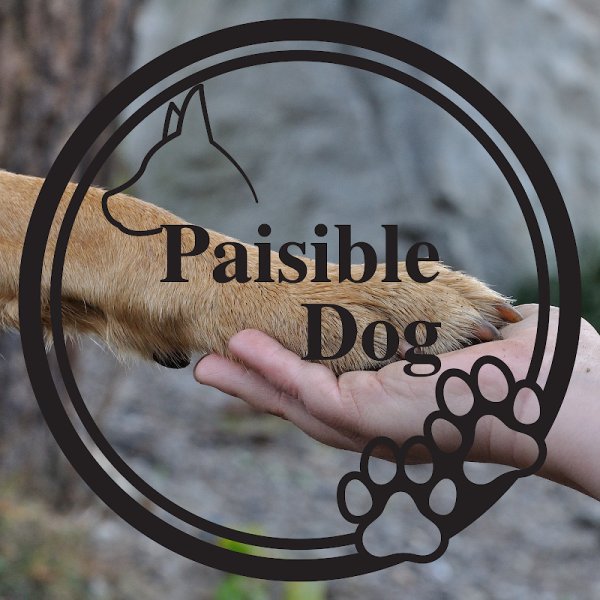 Paisible Dog - photo 2