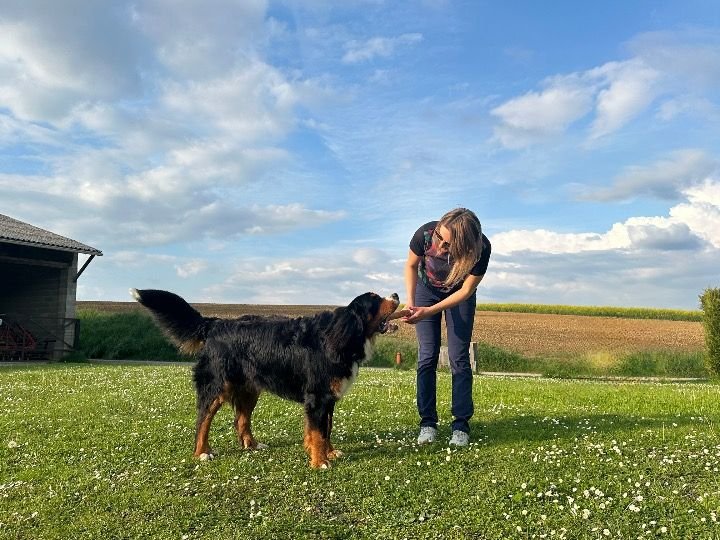 Eliane Schmitt - Félinement canin - photo 3