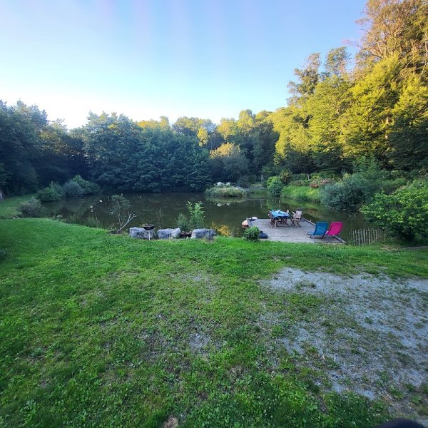 Pension Canine de l'Etang - photo 3