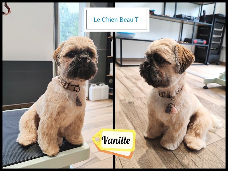 Le Chien Beau'T