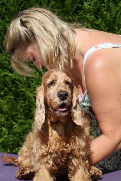 DOG BIEN-ÊTRE Bénédicte BASTIEN - photo 2