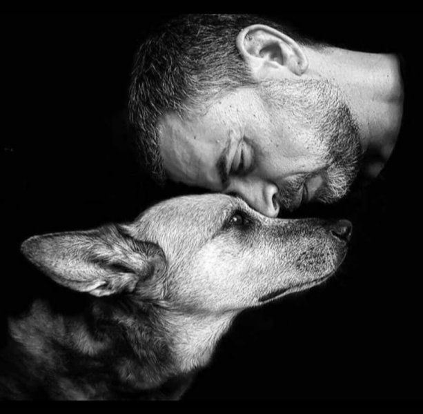 Centre Dogspirit - photo 1