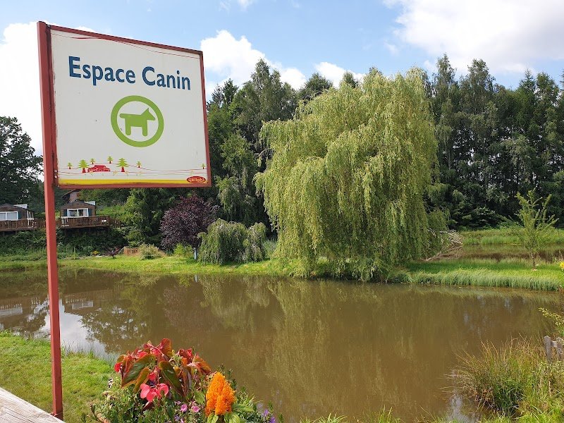 Aire d'ébats pour les chiens - photo 1