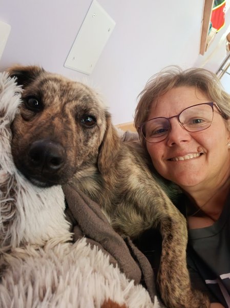 Le Chien Corse DITG - photo 3