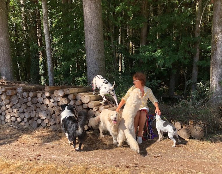 Pension canine familiale Vosges