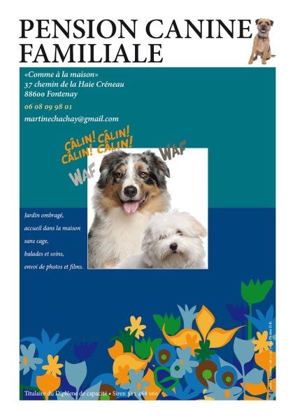 Pension canine familiale Vosges - photo 2