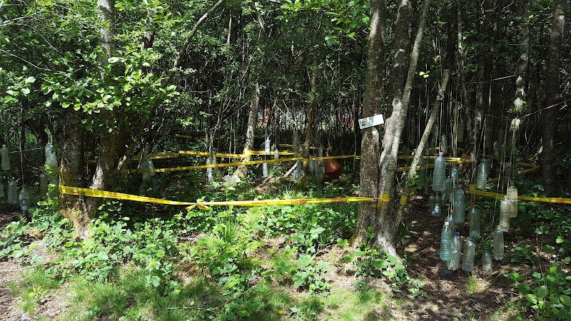 OUT-DOG ADVENTURE PARC