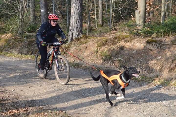 OUT-DOG ADVENTURE PARC - photo 2