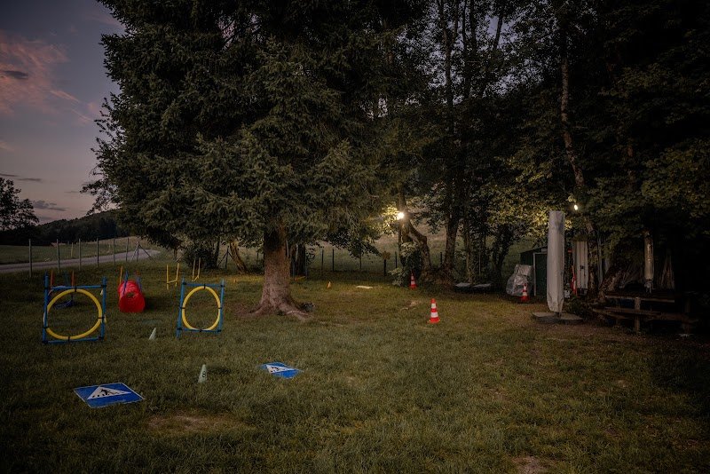 Instant-Canin - photo 1