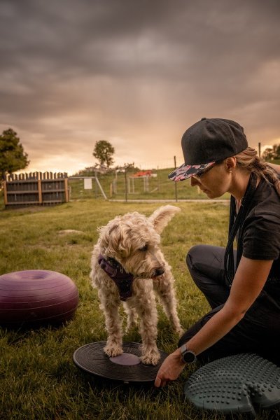 Instant-Canin - photo 2