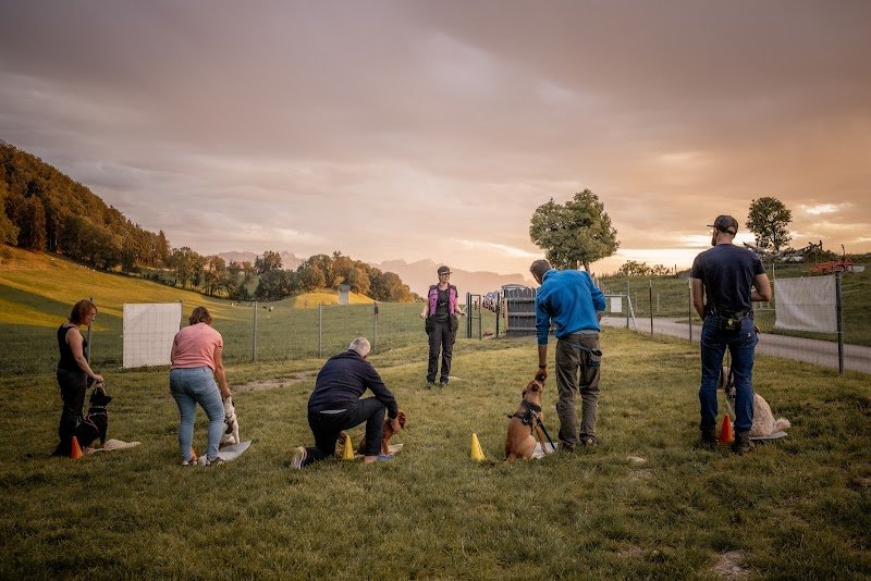 Instant-Canin - photo 3