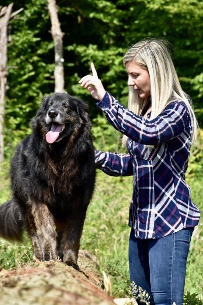 Respect-Animal - Justine COURTECUISSE - Educatrice Comportementaliste Canine - Pension canine familiale - photo 2