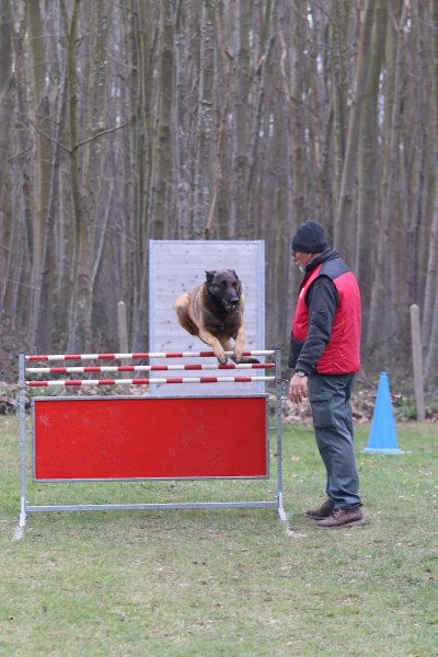 club d'éducation canine de saint Valery en Caux - photo 2