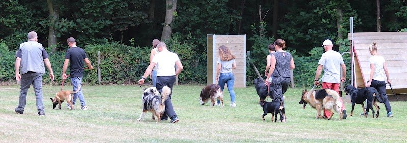 club d'éducation canine de saint Valery en Caux - photo 3