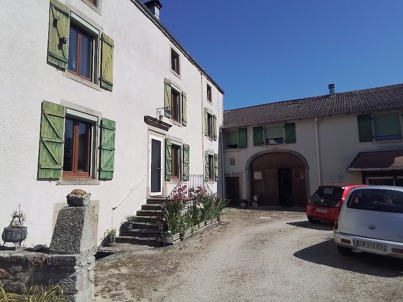 Black & White Toilettage Canin