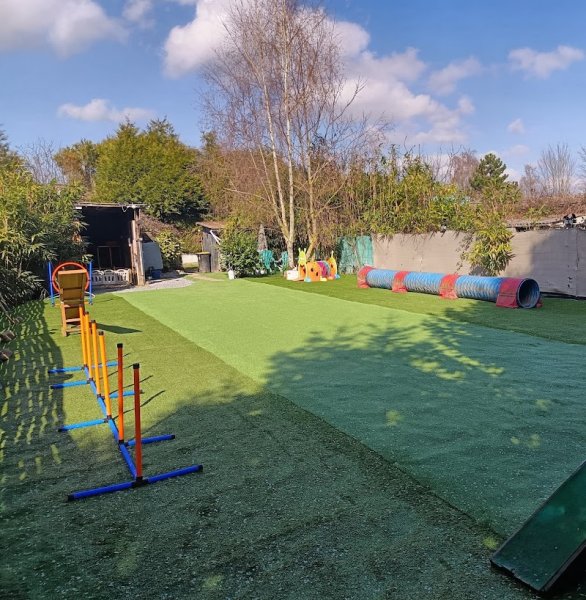 Rocky's Academy - Centre de loisirs canin, éducation et comportement du chien et services animaliers - photo 2