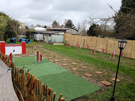 Rocky's Academy - Centre de loisirs canin, éducation et comportement du chien et services animaliers - photo 3