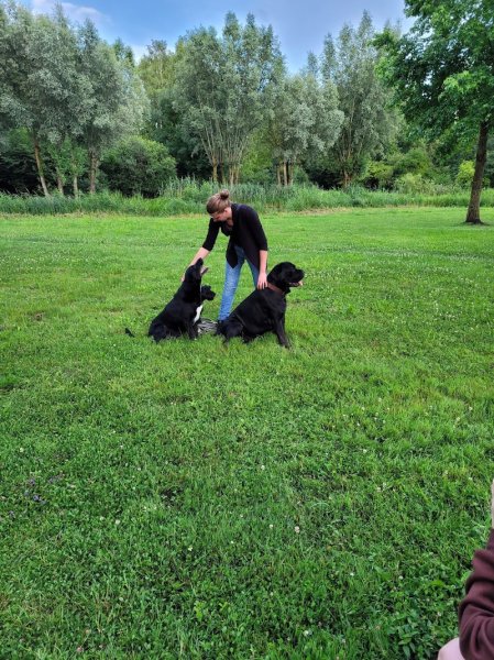 Educ'canin Marjorie Grenier - photo 1