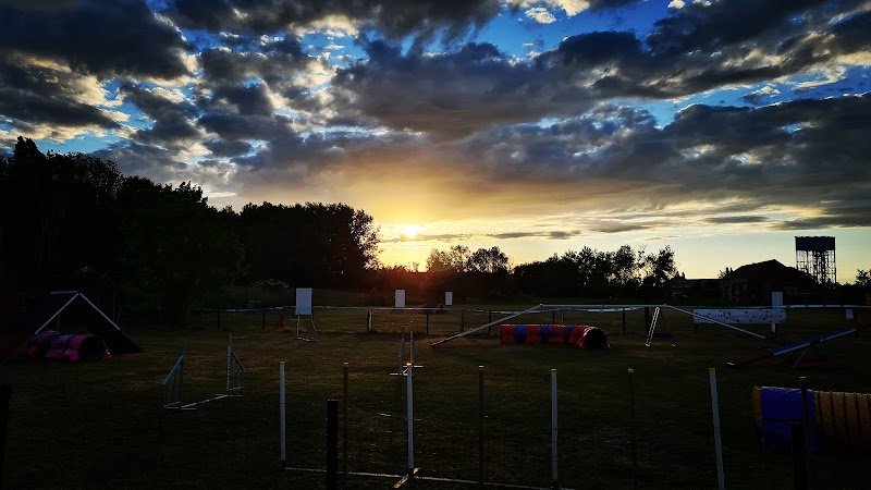 Club Canin de Beautor - photo 1