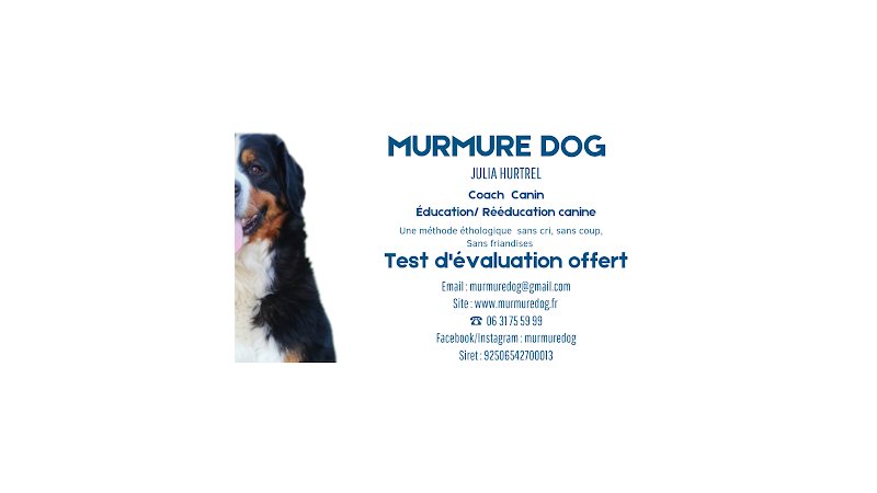 Murmure dog - photo 2