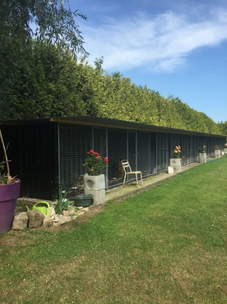 pension canine de louxor