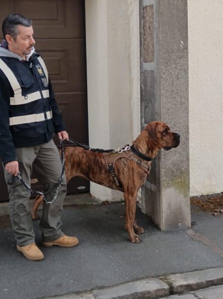 doggy's family - photo 1