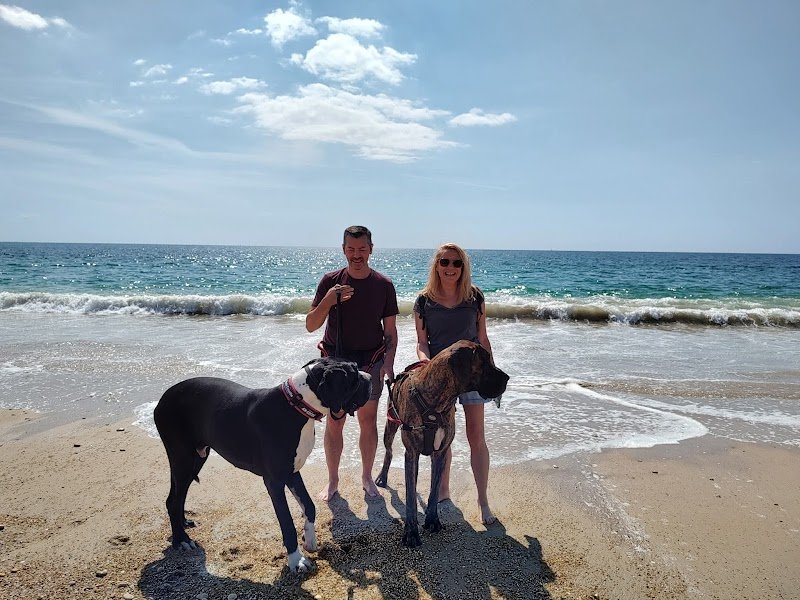 doggy's family - photo 2