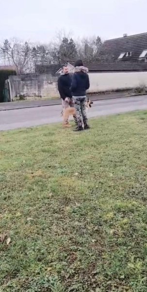 doggy's family - photo 3