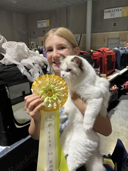 Cat And Dog Beauty - photo 1