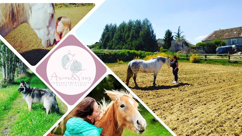 Anim&Vous, Comportementaliste équin et canin - Véronique Braun