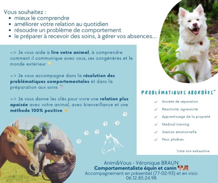 Anim&Vous, Comportementaliste équin et canin - Véronique Braun - photo 2