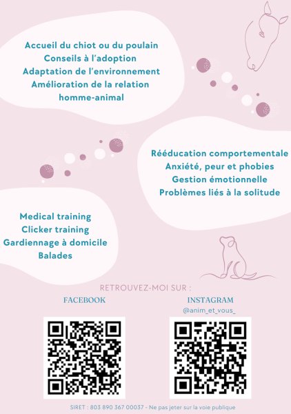 Anim&Vous, Comportementaliste équin et canin - Véronique Braun - photo 3