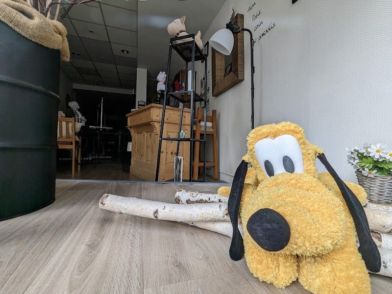 une histoire de chiens - photo 3