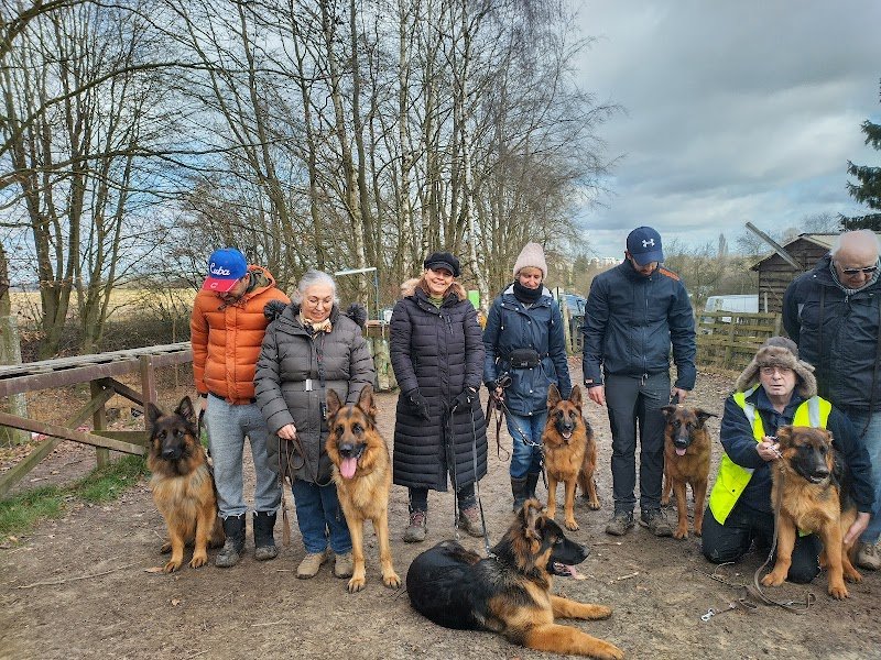 Club canin Les Titans - photo 3