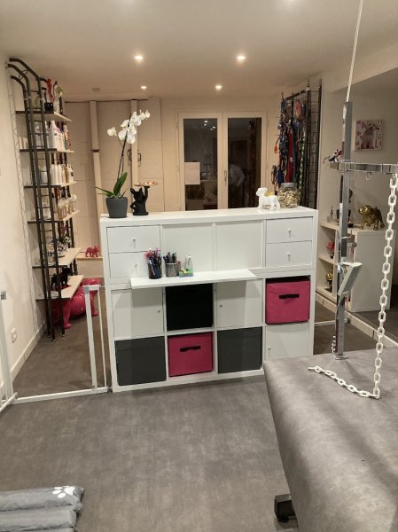 Bulle dog : Toilettage pour chien - photo 2