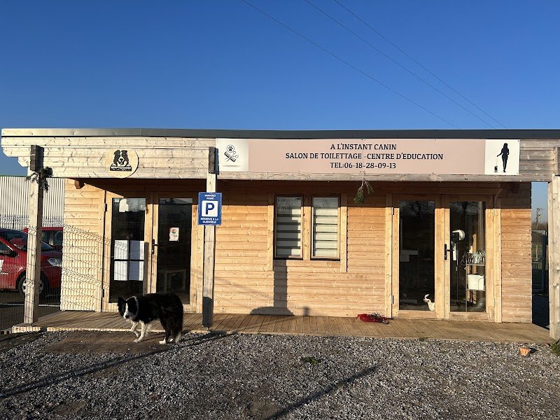 A L'instant Canin - photo 1