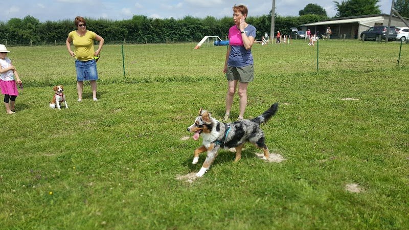Club Agility Education Esprit Canin - CAEEC - photo 1