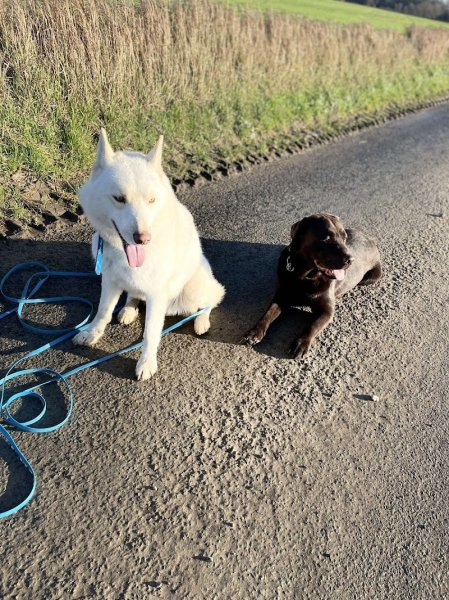 Éduccanin Ferrante Anaëlle