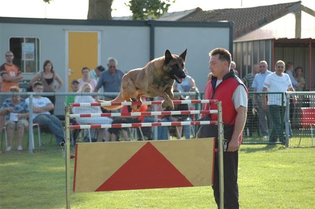 Association Cynophile Bruaysienne (Club d'éducation canine)