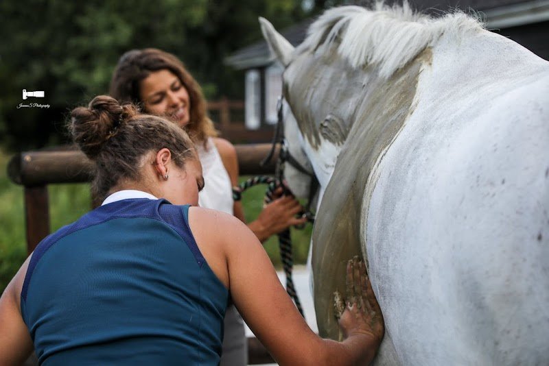 Amély Prévot - Masseur équin canin - photo 1