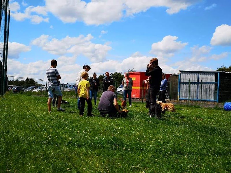 Club d'agility, flyball et d'éducation Solesmes - photo 2