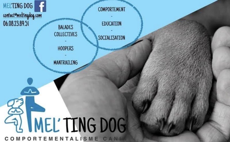 Mel'ting Dog - photo 2