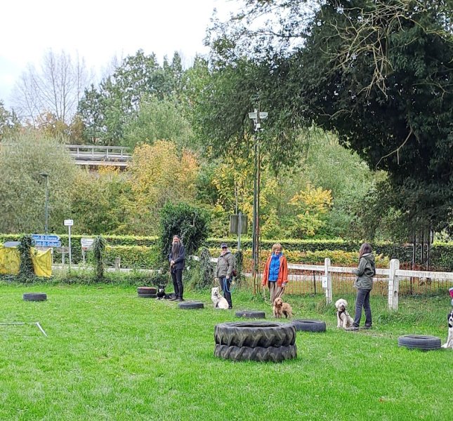 DCSV Club d'Educations Canines - photo 1