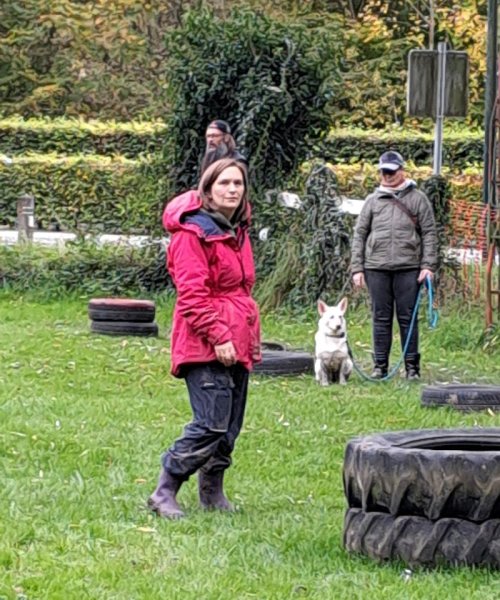 DCSV Club d'Educations Canines - photo 2