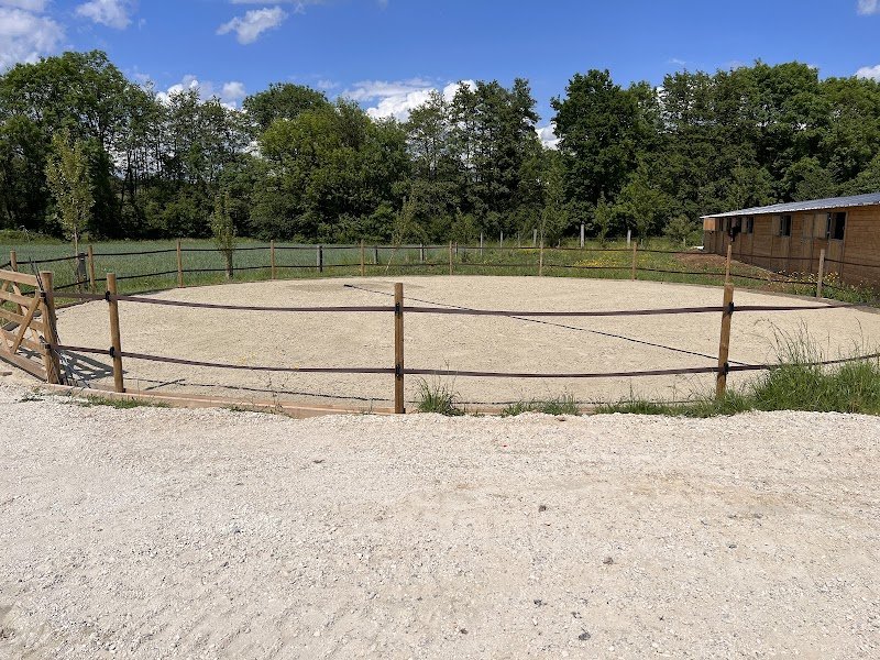 Carine M. Dressage - photo 1