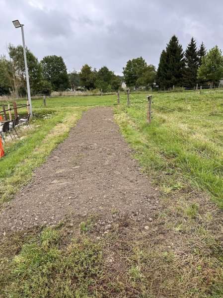 Carine M. Dressage - photo 2