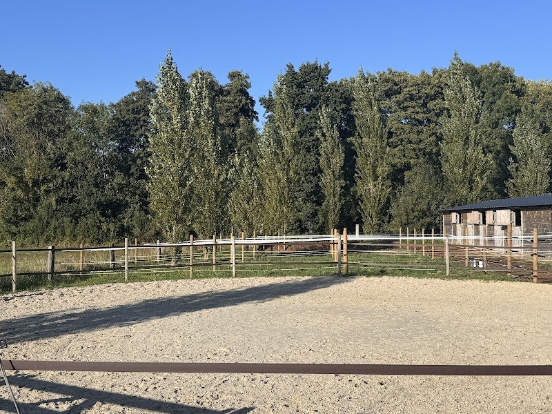 Carine M. Dressage - photo 3