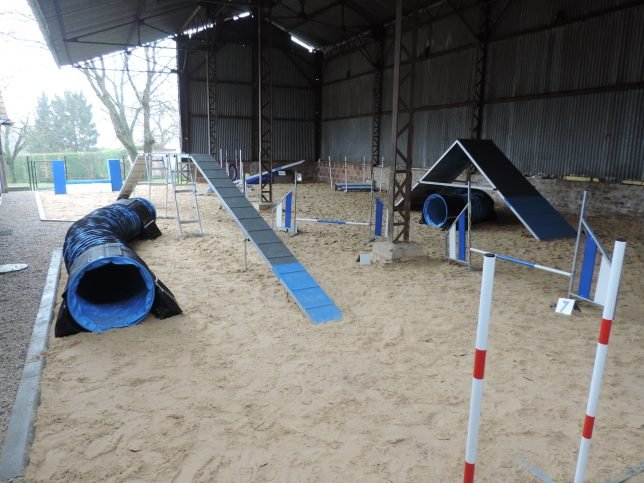 Domaine de la Lumière de Tyché : Education canine (chiots et adultes) - Agility et Dog Dancing - Elevage