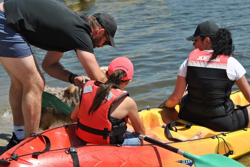 Domaine de la Lumière de Tyché : Education canine (chiots et adultes) - Agility et Dog Dancing - Elevage - photo 2